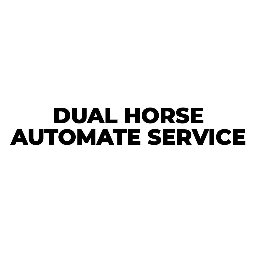 Dual Horse Automate Service
